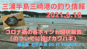 釣り コロナ禍の三崎港情報と投げカワハギ 21 6 18