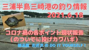 【釣り】コロナ禍の三崎港情報と投げカワハギ　2021.6.18