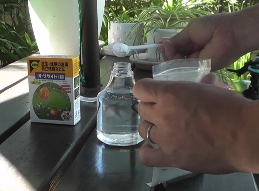 オーソサイド水和剤の粉末は付属の計量スプーンで分量を量り、水で希釈して使用する