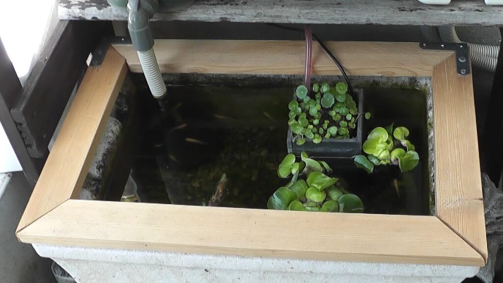 アクアリウム 川魚飛び出し防止用の蓋をdiy サーモウッド製