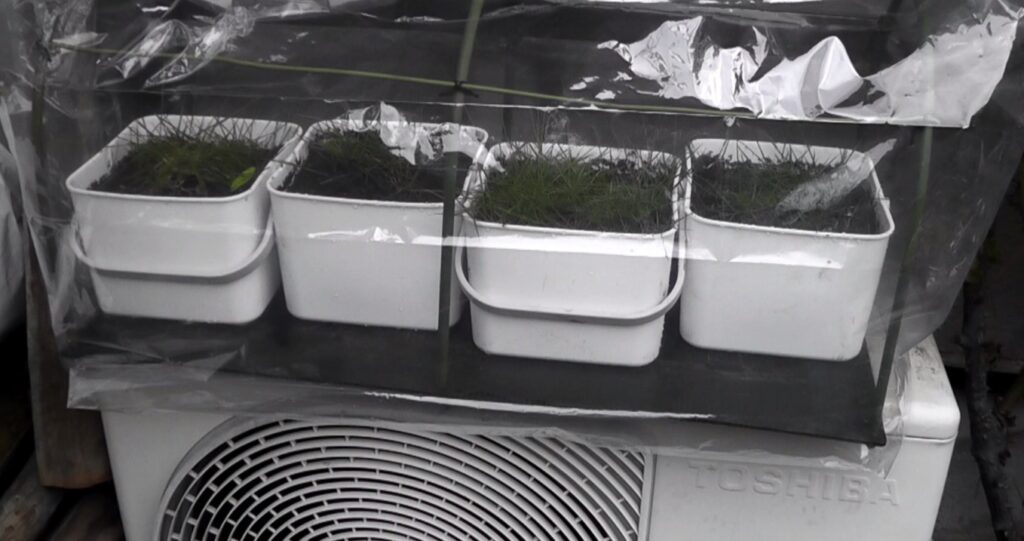 作成した温室をエアコンの室外機の上に設置し、養殖した芝生を入れて越冬させる