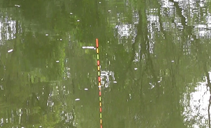 多摩川拝島橋上流のジャリ穴で吸い込み釣りの合間に延べ竿とヘラブナ仕掛けで鮒釣り