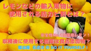 レモンなどの輸入果物に使用される防カビ剤は農薬だけど食品添加物