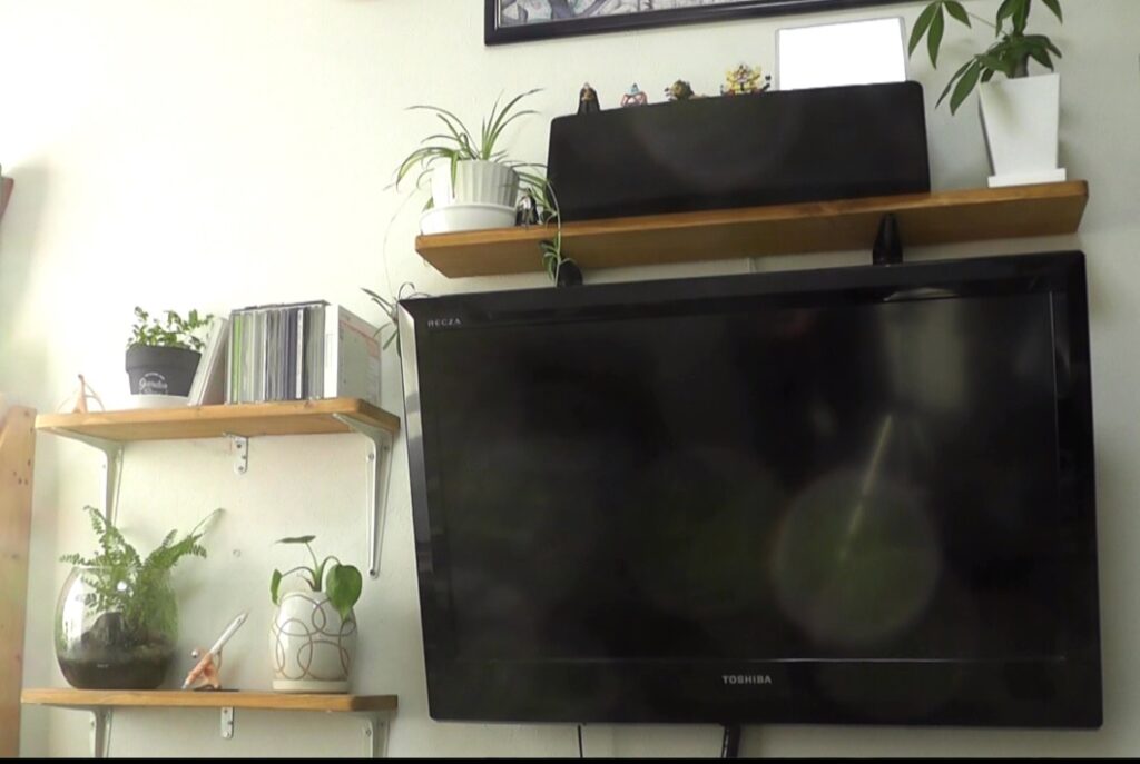 テレビの周りに設置した棚に観葉植物を置くと生活に潤いが生まれる