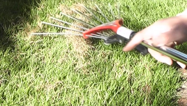 芝生の重要なケア作業と言われているサッチングは刈れた芝生を取り除く作業
