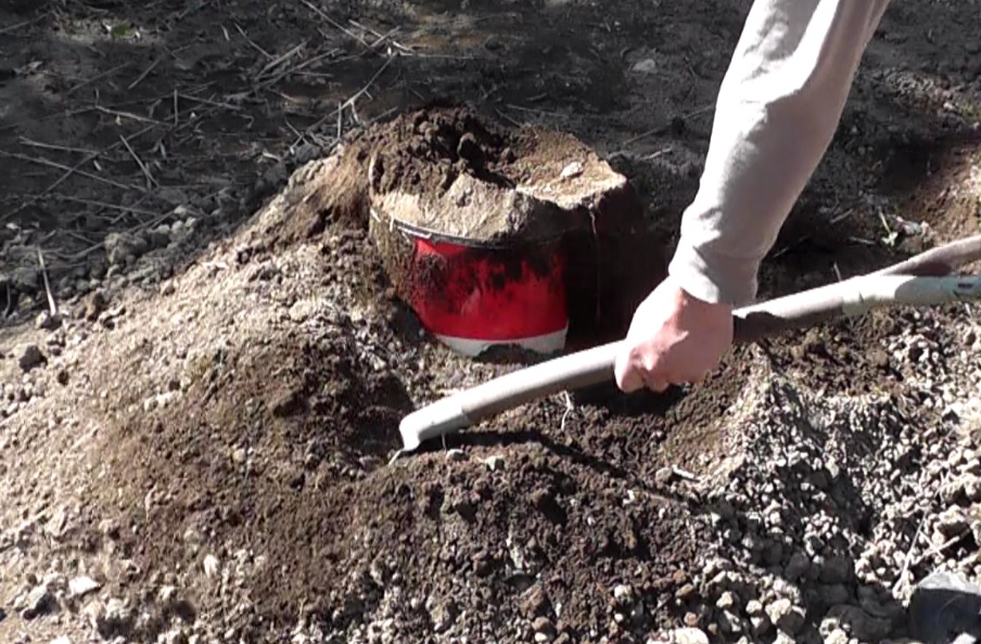 土を被せて一晩放置したペール缶を掘り起こして中の竹炭を取り出す