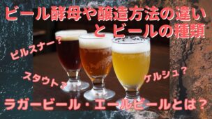 ビール酵母や醸造方法の違いとビールの種類－ラガー・エールビール
