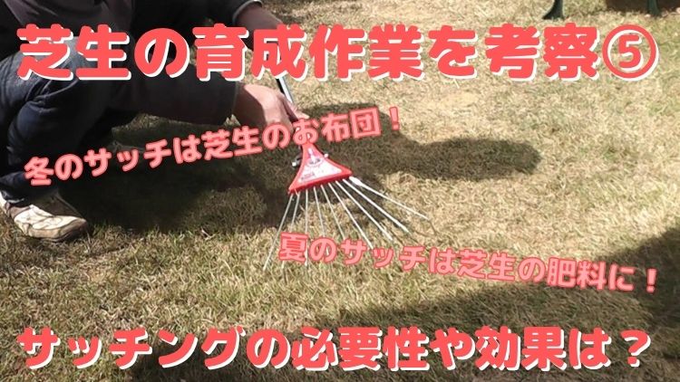 芝生のサッチの役割とサッチングの必要性や効果、最適な実施頻度