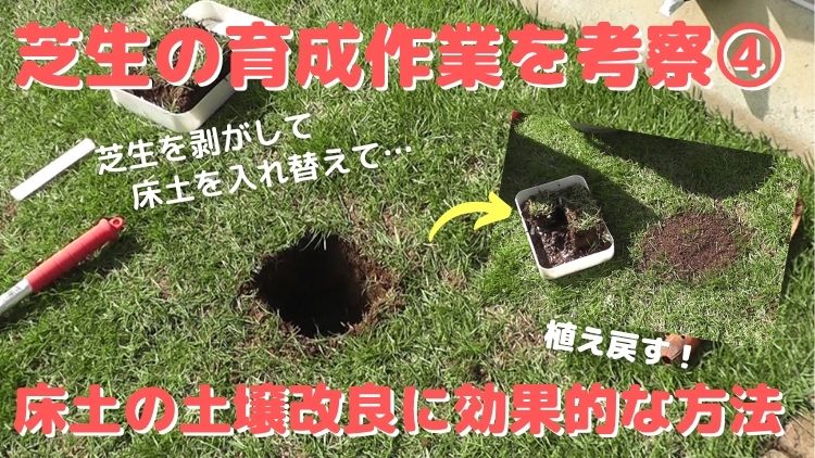 芝生の床土の土壌改良方法は芝生を部分的に剥がして床土を入れ替える