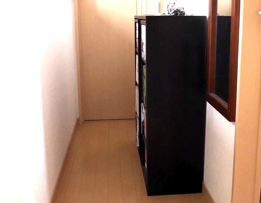 部屋の荷物が増えて廊下に押し出された本棚