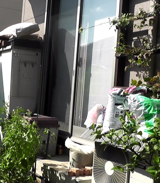 新たに物干し台を設置する予定の和室掃き出し窓前のステップ