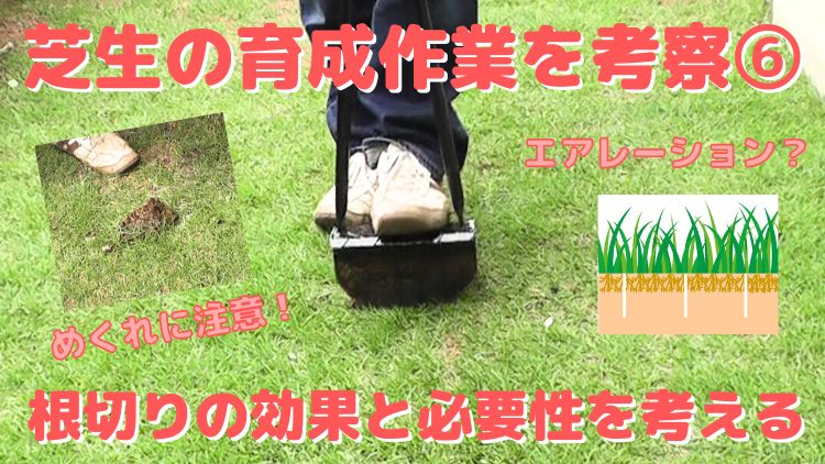 芝生の根切り作業の方法や道具、効果や必要性、注意点などを考察